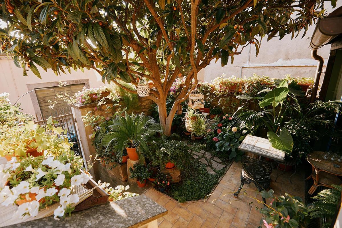La Casetta Di Giusy - Alloggio Turistico Viterbo Buitenkant foto